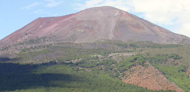 Immagine relativa al contenuto 'Coltivazioni biologiche nel Parco Nazionale del Vesuvio'