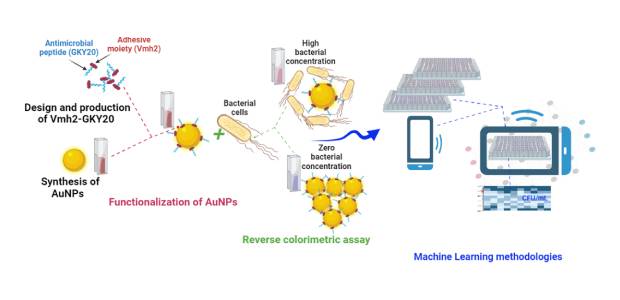 Immagine relativa al contenuto Biosensoristica e Intelligenza Artificiale per trovare contaminazioni batteriche