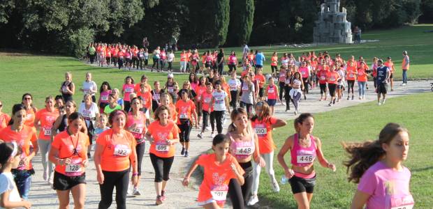 Immagine relativa al contenuto Bosco in Rosa. Corri tra i capolavori