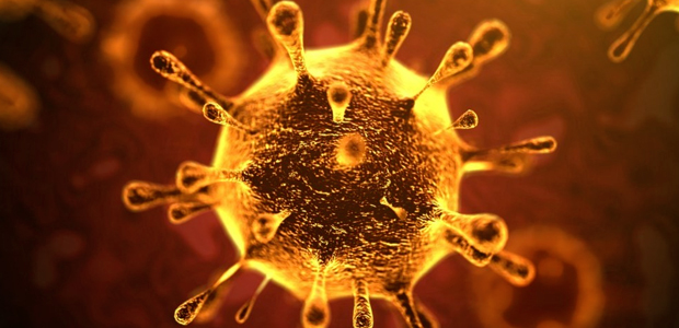 Immagine relativa al contenuto CORONAVIRUS 2019-nCoV