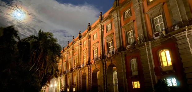 Immagine relativa al contenuto Cinque aperture serali al Museo e Real Bosco di Capodimonte