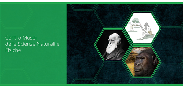 Immagine relativa al contenuto Darwin 2018 al Real Museo Mineralogico