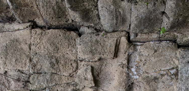 Immagine relativa al contenuto Federico II. Le Mura greche nel cortile della Minerva