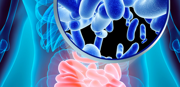 Immagine relativa al contenuto Fibrosi cistica: la malattia modifica il microbiota intestinale dei bambini