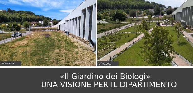 Immagine relativa al contenuto Giardino Studio al Dipartimento di Biologia