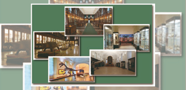 Immagine relativa al contenuto I Musei della Federico II riaprono al pubblico