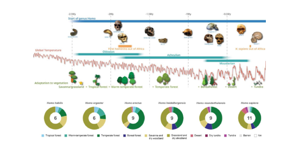 Immagine relativa al contenuto I nostri antenati stanziavano attivamente in aree ricche di biodiversità