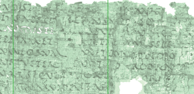 Immagine relativa al contenuto I testi latini della Biblioteca Ercolanese: bilanci e prospettive