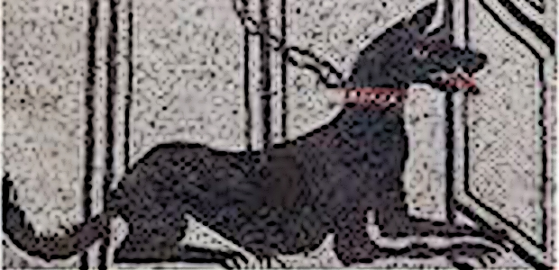 Immagine relativa al contenuto 'Il cane nell'arte pompeiana'