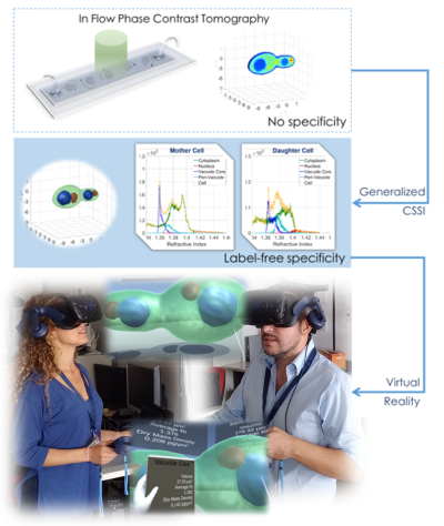 Immagine relativa al contenuto Il metaverso per vedere le cellule in 3D