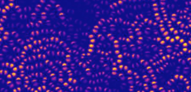 Immagine relativa al contenuto La transizione vetrosa incontra la diffusione Fickiana non-Gaussiana
