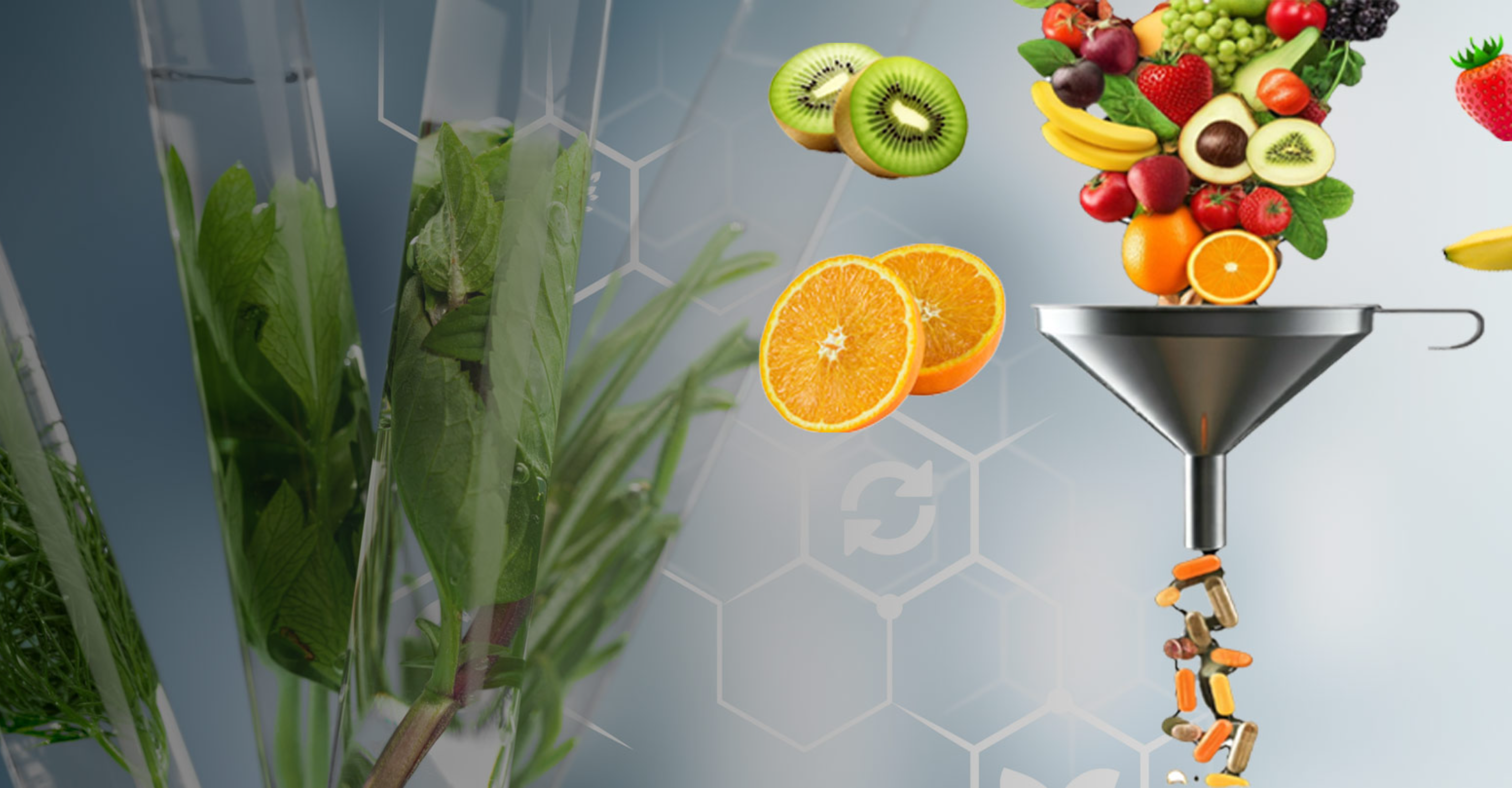 Immagine relativa al contenuto Master di II livello in Prodotti Nutraceutici