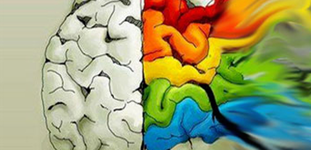 Immagine relativa al contenuto Il ruolo delle medical humanities nella formazione in medicina