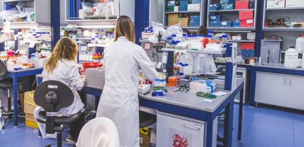 Immagine relativa al contenuto Mucopolisaccaridosi tipo 6, buone prospettive dall'Istituto Telethon di Pozzuoli