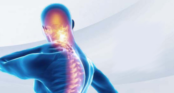 Immagine relativa al contenuto Osteonet 2.0 osteoporosi in Campania, proposte operative gestionali