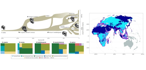 Immagine relativa al contenuto Past climate change effects on human evolution