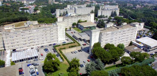 Immagine relativa al contenuto EBCOG alla Scuola di Specializzazione in Ginecologia e Ostetricia federiciana