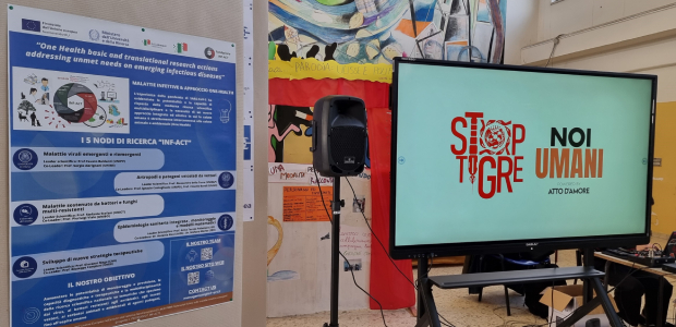 Immagine relativa al contenuto STOPTIGRE, concluse le attività a Procida