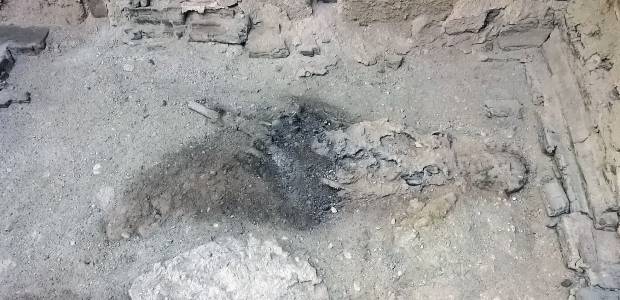 Immagine relativa al contenuto Svelate condizioni di vetrificazione di un cervello umano rinvenuto ad Ercolano