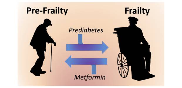 Immagine relativa al contenuto Trattare precocemente il pre-diabete riduce i rischi per la salute