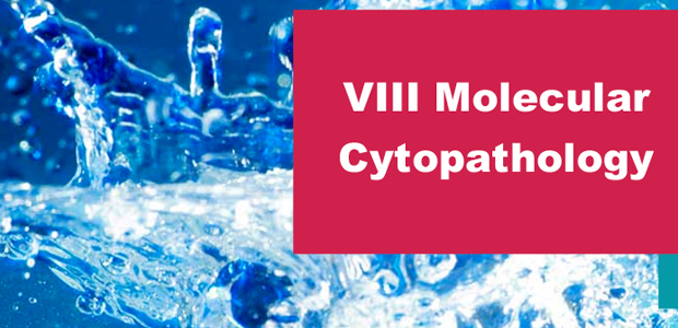 Immagine relativa al contenuto VIII edizione del congresso 'Molecular Cytopathology'