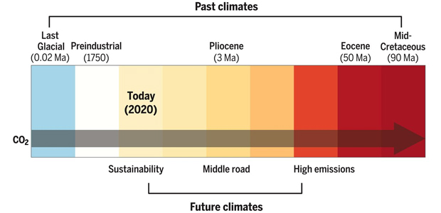 Immagine relativa al contenuto Cambiamenti climatici: studiare il record geologico per prevedere il futuro