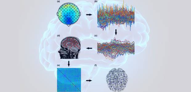 Immagine relativa al contenuto Scoperte le basi neurobiologiche della personalità