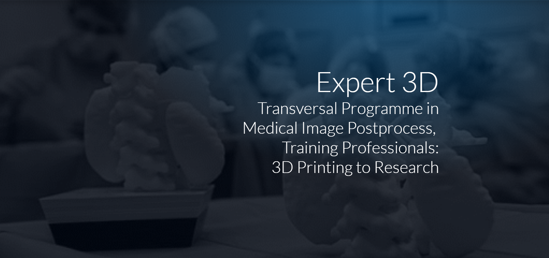 Immagine relativa al contenuto Expert 3D: Comprehensive Transversal Programme