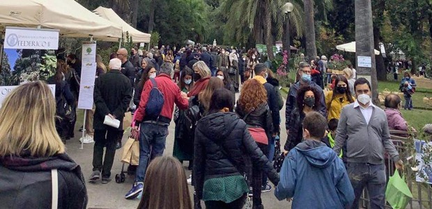 Immagine relativa al contenuto Festa dell'Albero, quasi 10.000 visitatori in due giorni