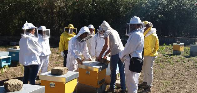 Immagine relativa al contenuto Gestione igienico-sanitaria degli apiari a salvaguardia della biodiversità