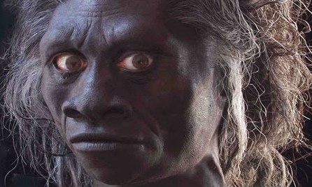 Immagine relativa al contenuto Homo floresiensis: un caso di nanismo insulare
