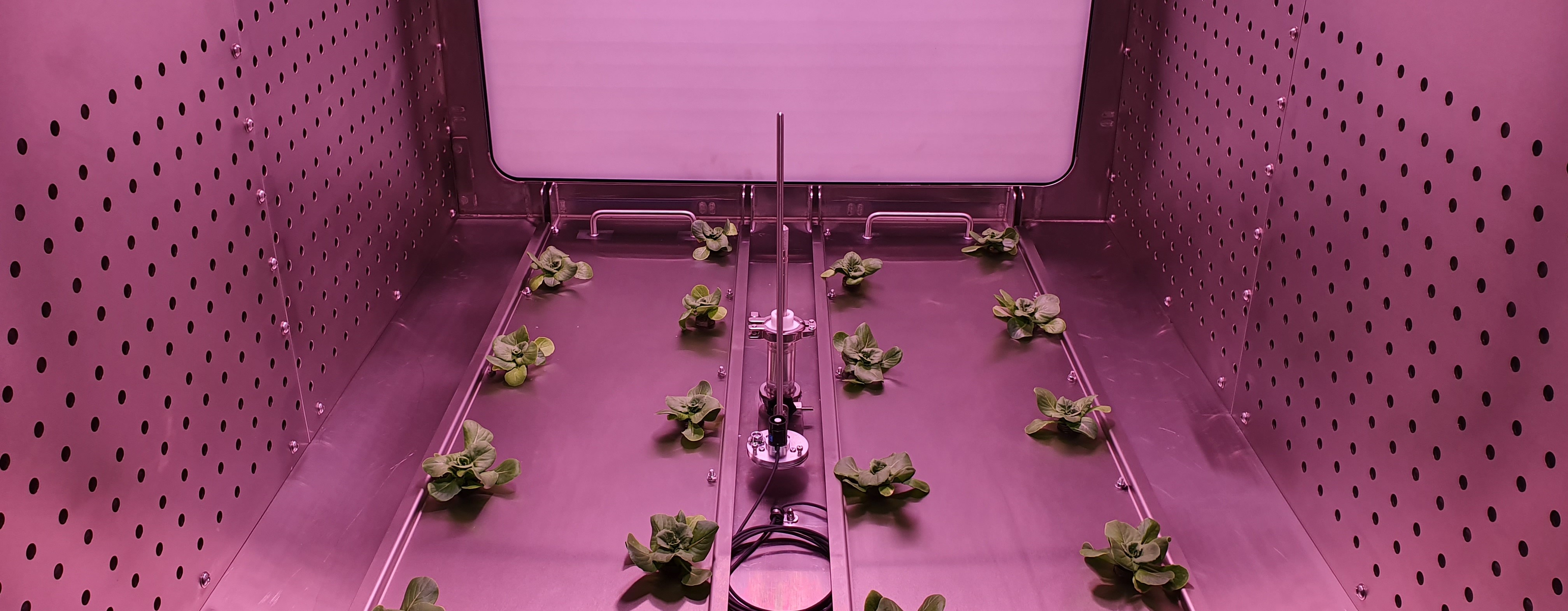 Immagine relativa al contenuto Si inaugura al Dipartimento di Agraria il Laboratorio di ricerca spaziale PCU