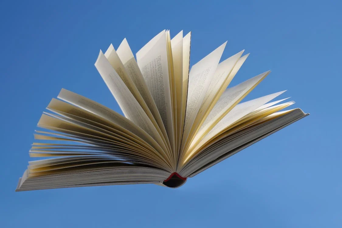 Immagine relativa al contenuto 