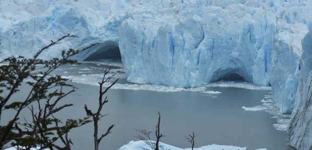 Immagine relativa al contenuto Giornata Mondiale degli Oceani 2025