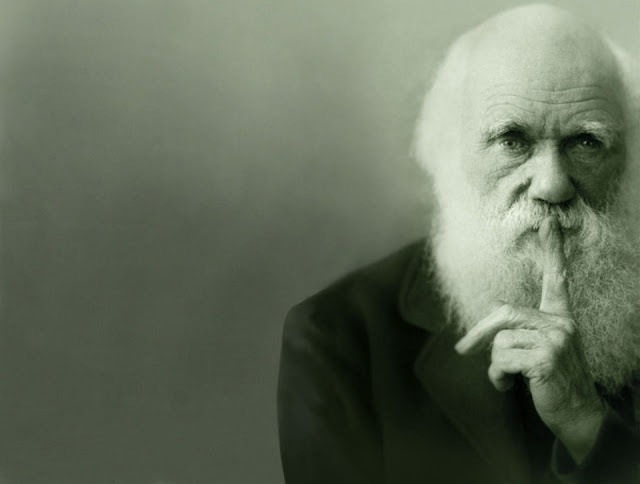 Immagine relativa al contenuto Nel segno di Darwin. Gli appuntamenti di F2 Cultura