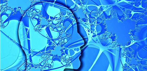 Immagine relativa al contenuto Terza Giornata per le Malattie Neuromuscolari al Policlinico Federico II