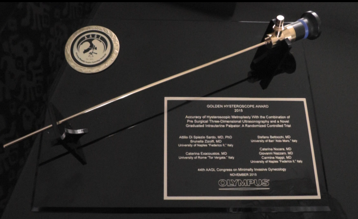 Immagine relativa al contenuto La Federico II si aggiudica il Golden Hysteroscope Award