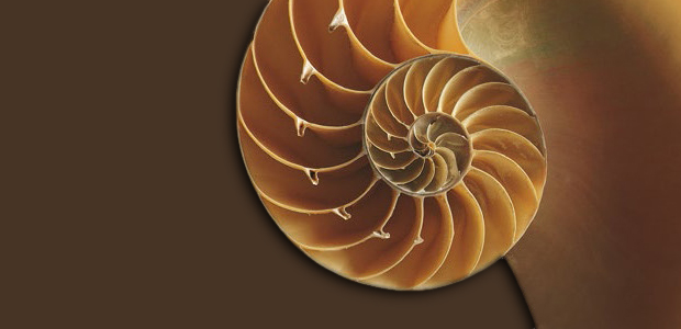 Immagine relativa al contenuto Undicesima edizione di Collezionare la Natura