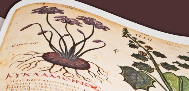 Immagine relativa al contenuto De materia medica. Il Dioscoride di Napoli