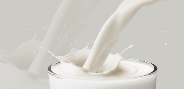 Immagine relativa al contenuto Un nuovo latte migliora stati infiammtori e riduce i radicali liberi