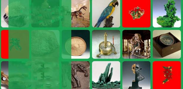 Immagine relativa al contenuto Alla scoperta delle meraviglie custodite nei musei scientifici di Napoli