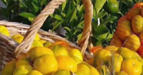 Immagine relativa al contenuto XIII Edizione Mediterraneo e dintorni. Natura e benessere nella Reggia di Carlo