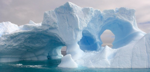 Immagine relativa al contenuto Chiude in 'Antartide' 'Nel segno di Darwin'