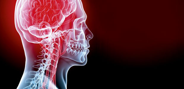 Immagine relativa al contenuto Biocam: diagnosi precoce e terapie personalizzate per ischemie e neoplasie