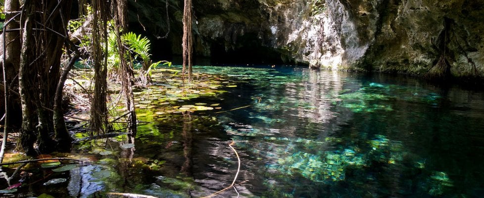 Immagine relativa al contenuto Messico, scoperte le grotte sottomarine più grandi del mondo