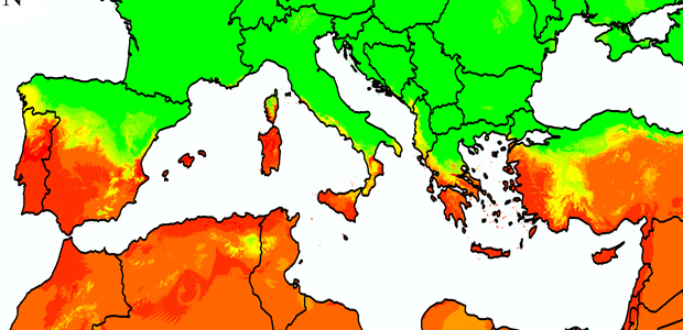 Immagine relativa al contenuto Xylella fastidiosa nel bacino del Mediterraneo