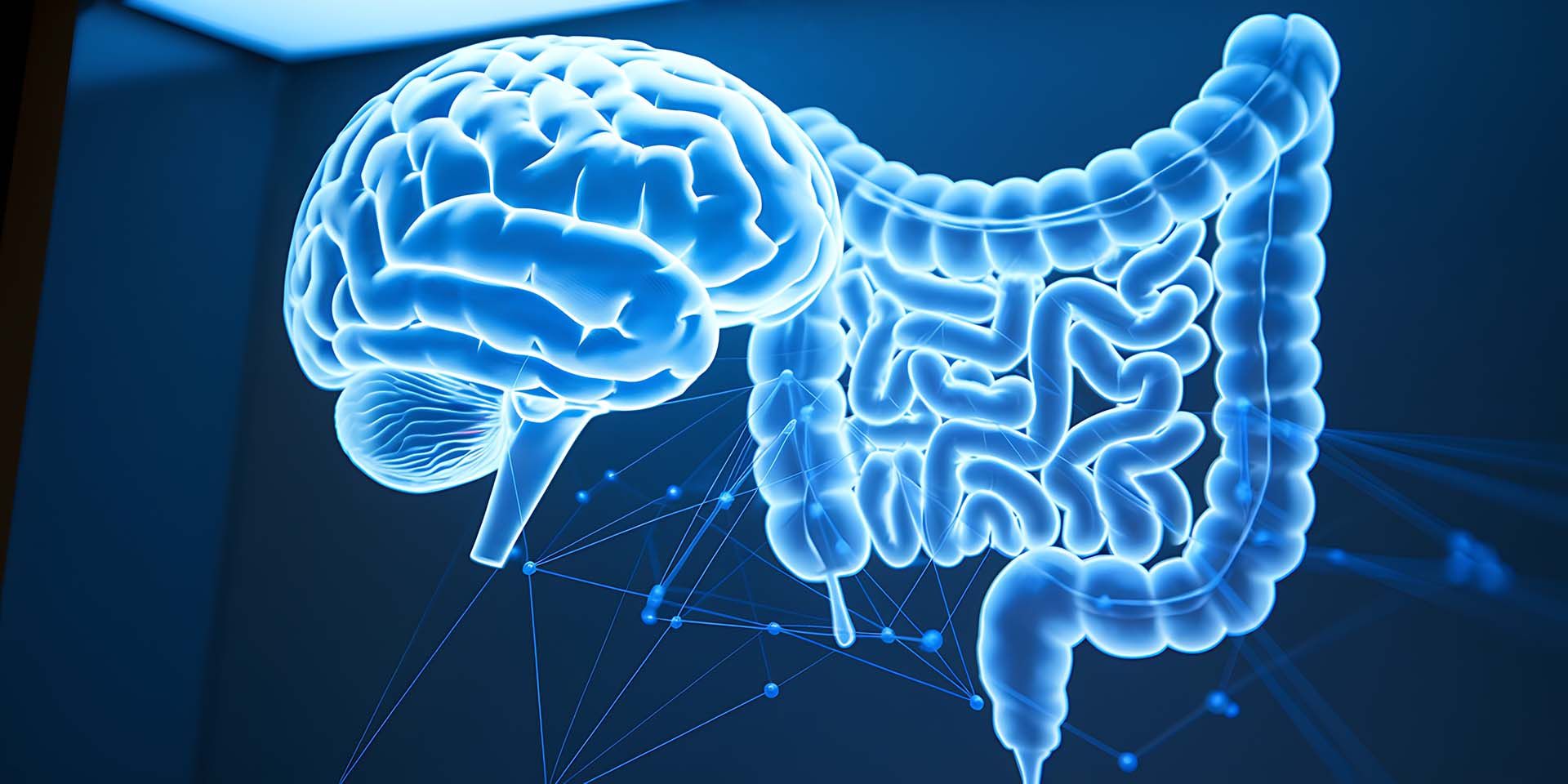 intestino