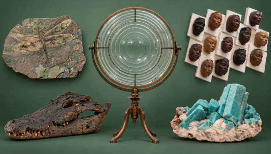 un pezzo simbolo per ogni collezione dei cinque musei