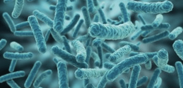 probiotici 