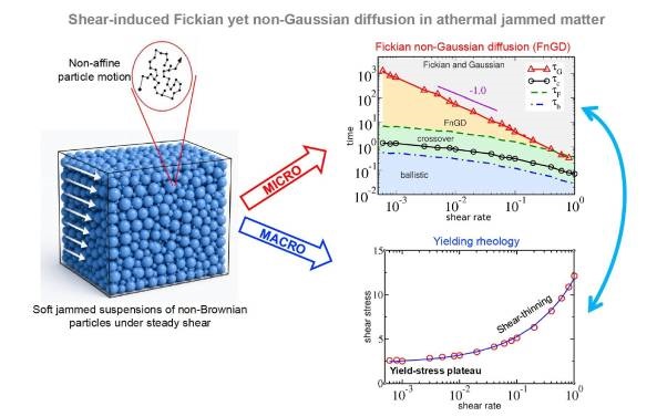 schema tratto dalla ricerca che ne spiega i risultati